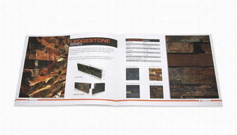 专业平面设计服务 创意与品质的完美融合